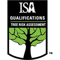 ISA Risk logo